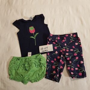 Gymboree girls 18-24 months tulip line 3 piece set shorts pants shirt